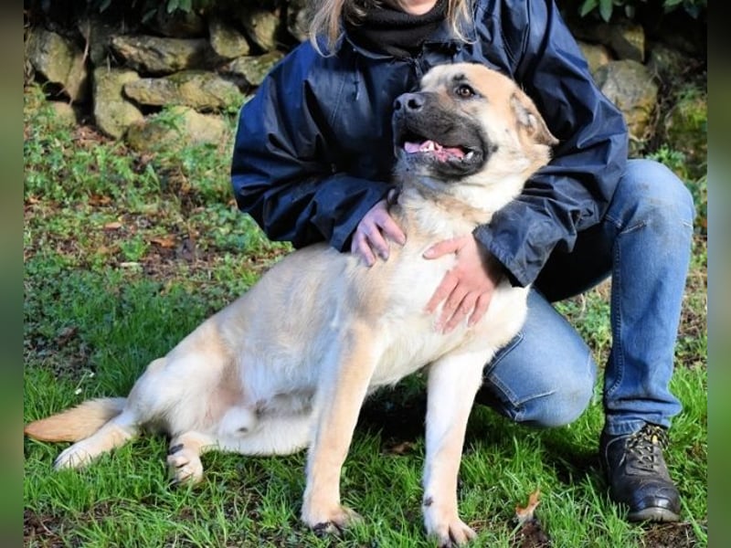 Joonas - wohin führt sein Weg?