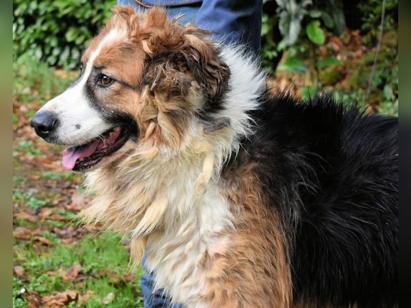 Kito - Irgendwas das bleibt