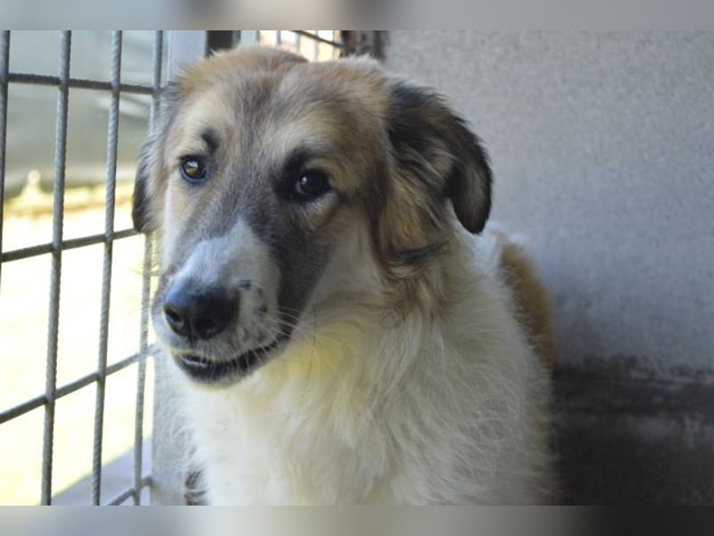 Heraclio - SOS - Wenn die Hoffnung stirbt