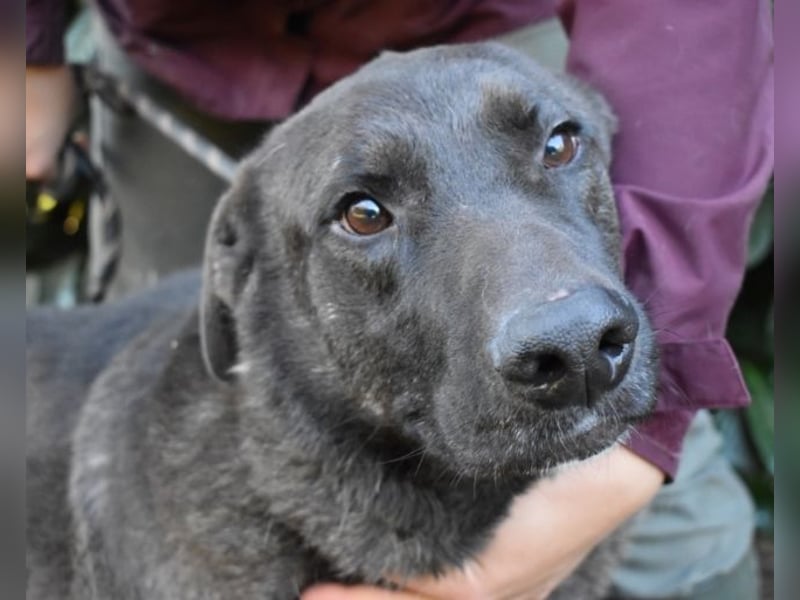 Godfried - When the night has come