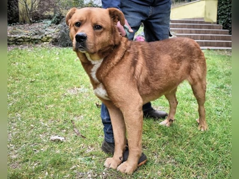 Vivaldo - ...steht vor der falschen Tür