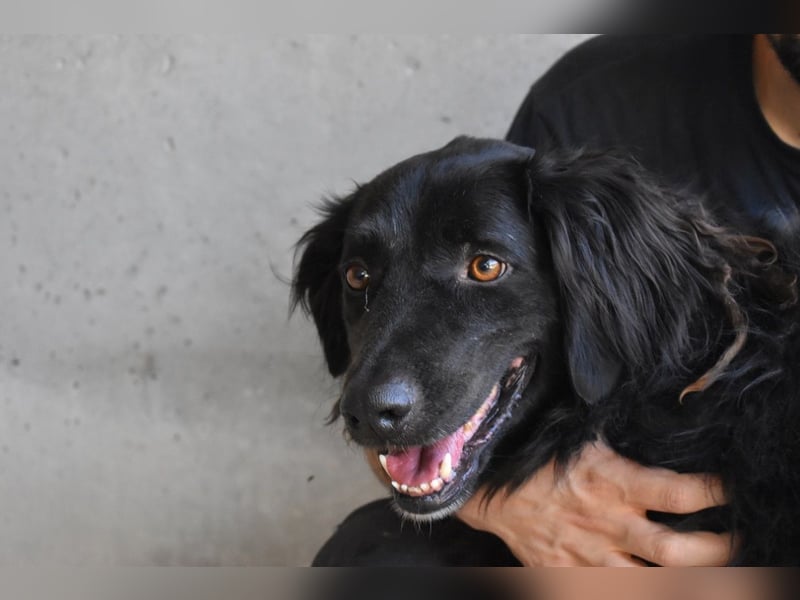 Kael - Nur ein einziges mal die Chance auf Leben