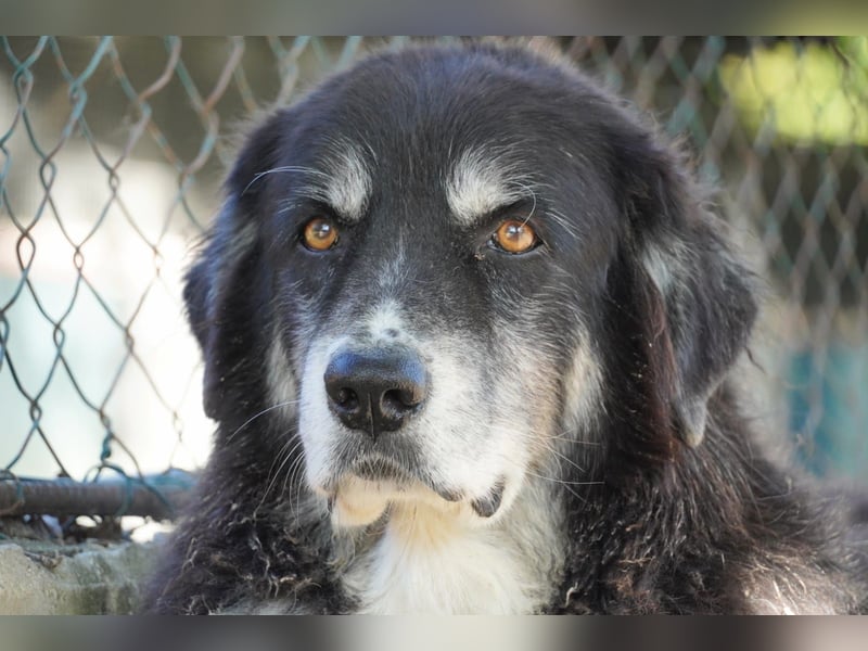 Kuno - Ein Ende in Sicht?