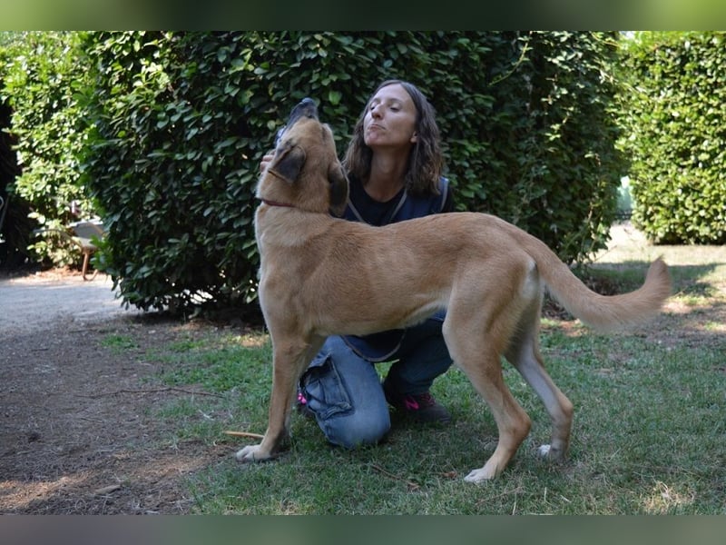 Adhara - Möchte ihre Energie versprühen