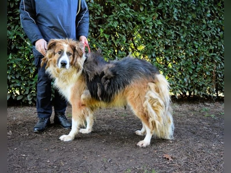 Kito - Irgendwas das bleibt