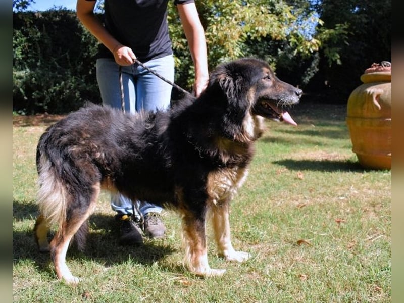 Carolita - und du - ein Dreamteam