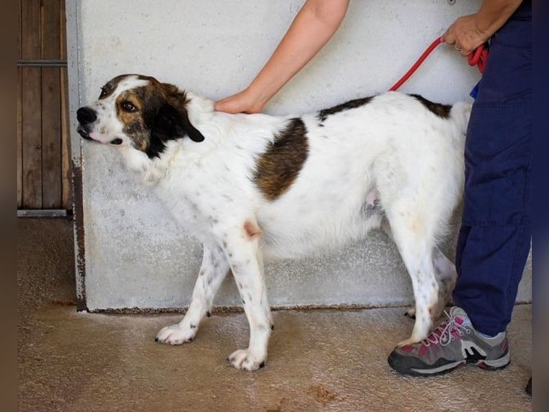 Jontar - Die Geschichte, die keiner liest