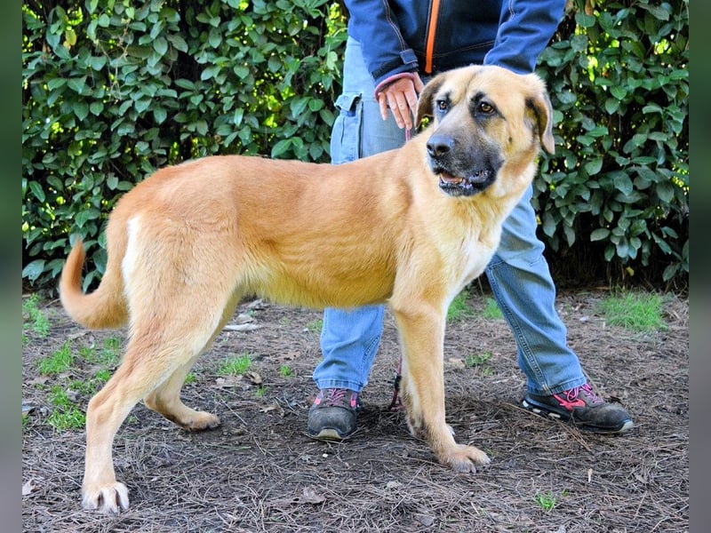 Adhara - Möchte ihre Energie versprühen