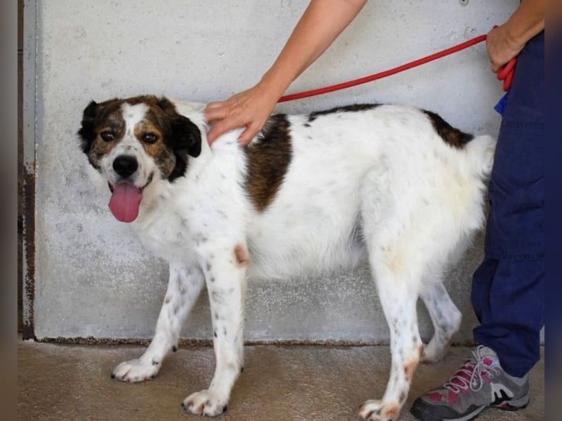 Jontar - Die Geschichte, die keiner liest