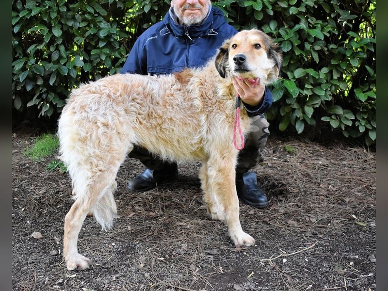 Ligorio - Zwölf, elf, zehn ... eins - Ligorio