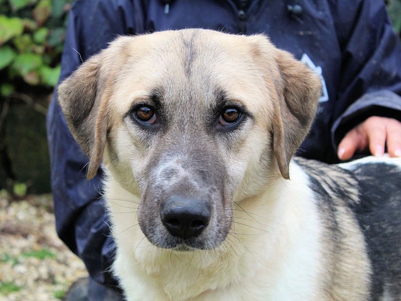 Skitter - Im gedimmten Licht, vor einer geschlossenen Tür