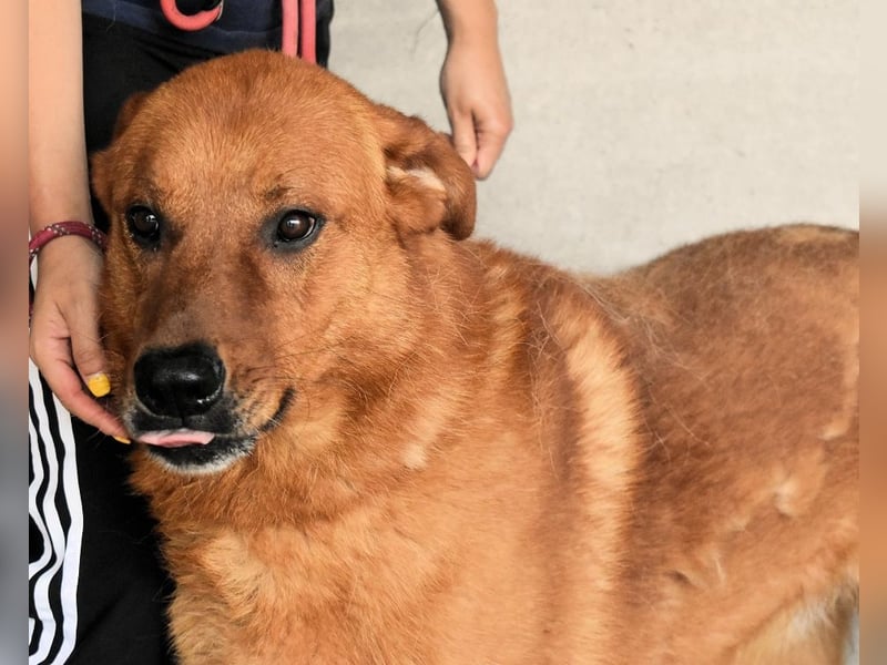 Antwin - irgendwo ist alles schön!