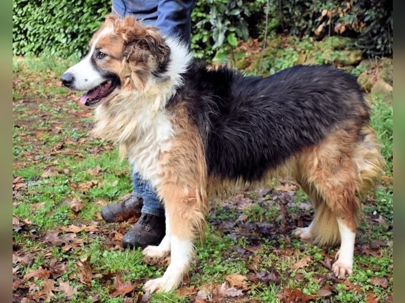 Kito - Irgendwas das bleibt