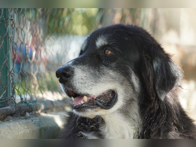 Kuno - Ein Ende in Sicht?