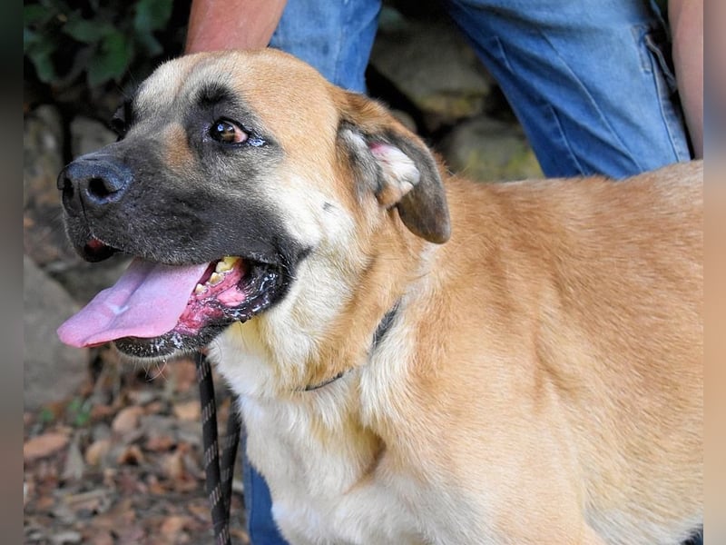 Joonas - wohin führt sein Weg?