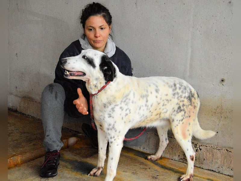 Arleene - Fachkraft für Betonpädagogik