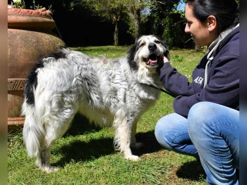 Daiana - der Beginn einer wunderbaren Freundschaft