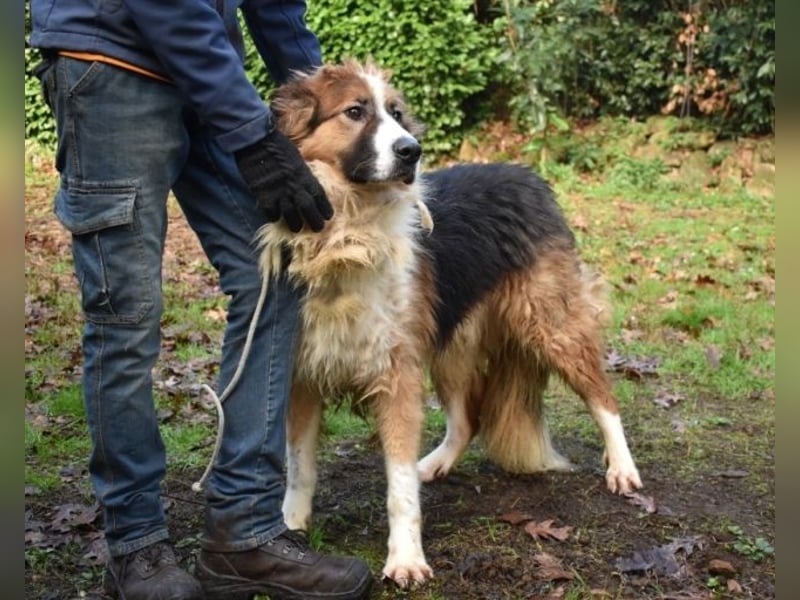 Kito - Irgendwas das bleibt