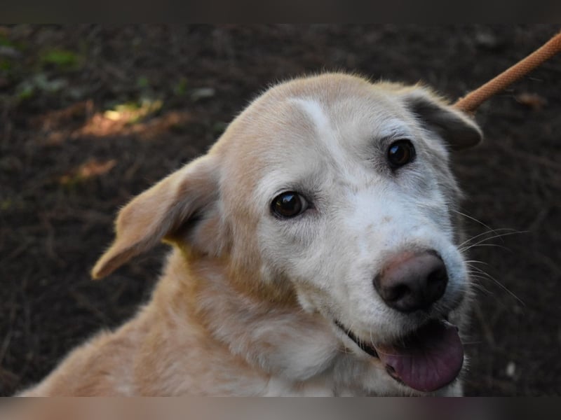 Islay - Menschenherzen-im-Sturm-Eroberer