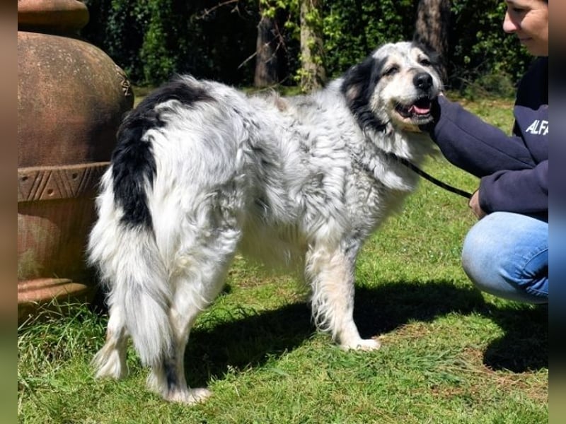 Daiana - der Beginn einer wunderbaren Freundschaft