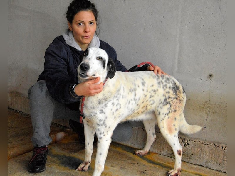 Arleene - Fachkraft für Betonpädagogik