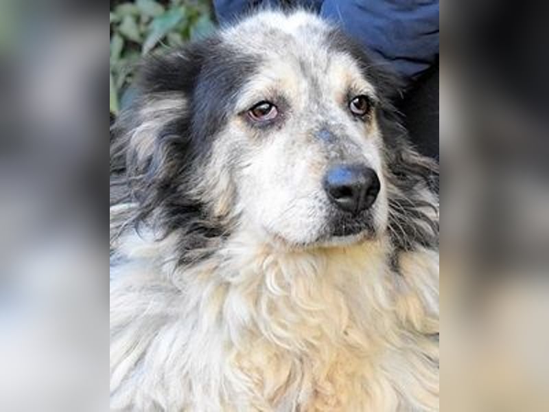 Daiana - der Beginn einer wunderbaren Freundschaft