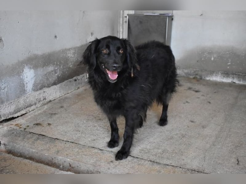 Kael - Nur ein einziges mal die Chance auf Leben