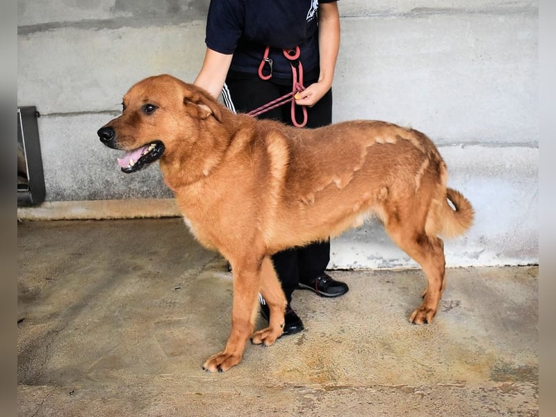 Antwin - irgendwo ist alles schön!