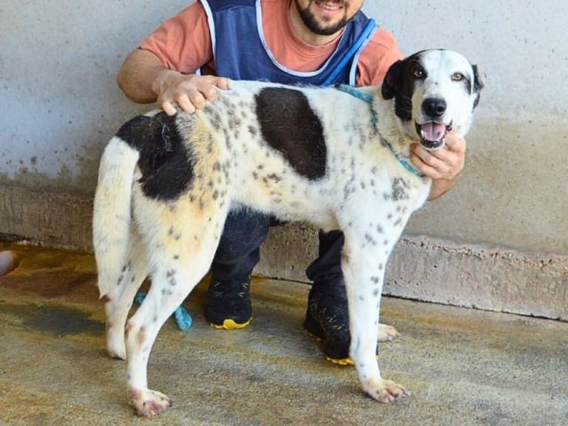 Arleene - ist voll bedingungsloser Liebe