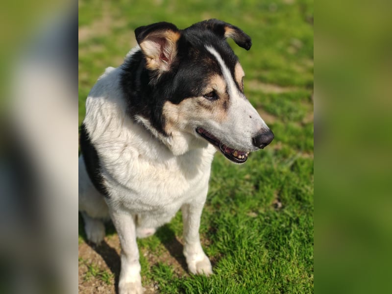 Giangy - Ich hätte da noch Kapazitäten frei