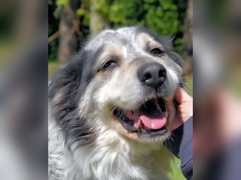 Daiana - der Beginn einer wunderbaren Freundschaft