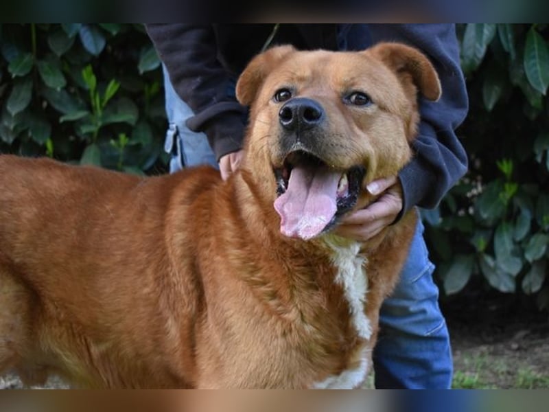 Vivaldo - ...steht vor der falschen Tür