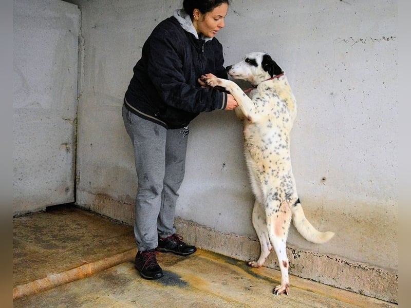 Arleene - Fachkraft für Betonpädagogik