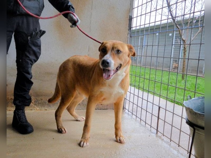 Spielberg - Der Dreh seines Lebens Spielberg - Der Dreh seines Lebens