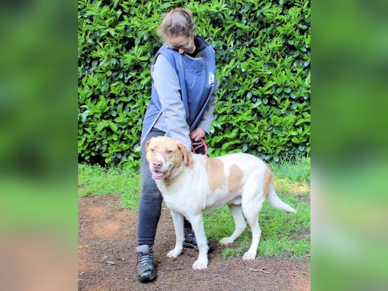 Jamison - möchte glücklich sein