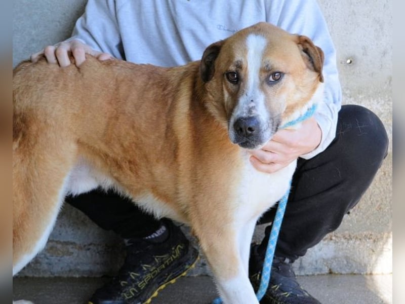 Scotlee - Drei Leben. Drei Chancen.