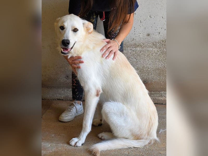 Rurik - Das geheime Feuerwerk