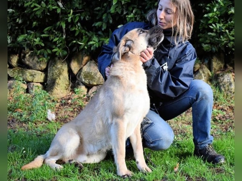 Joonas - wohin führt sein Weg?