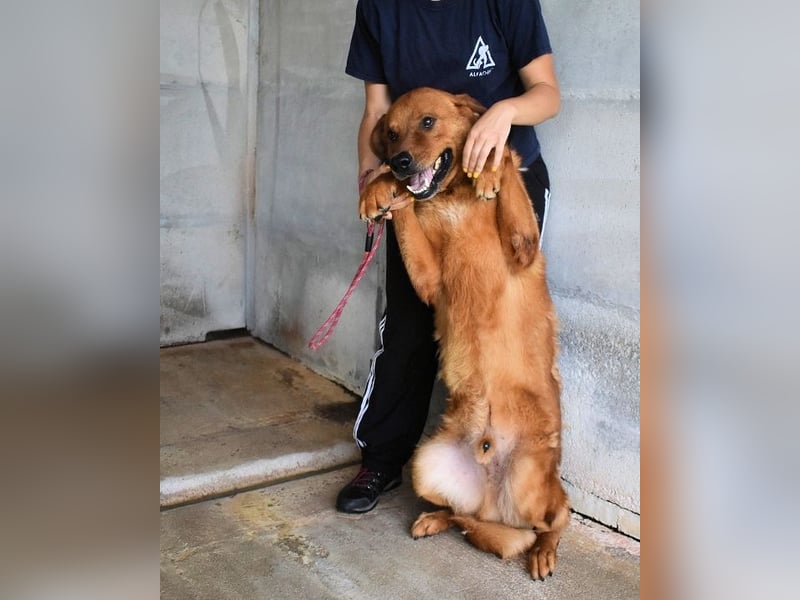 Antwin - irgendwo ist alles schön!