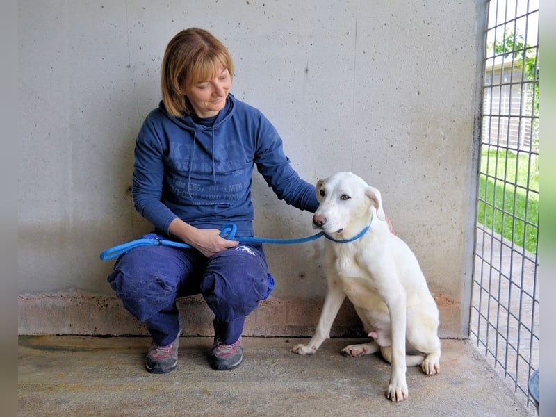 Armindo - aller guten Dinge sind drei