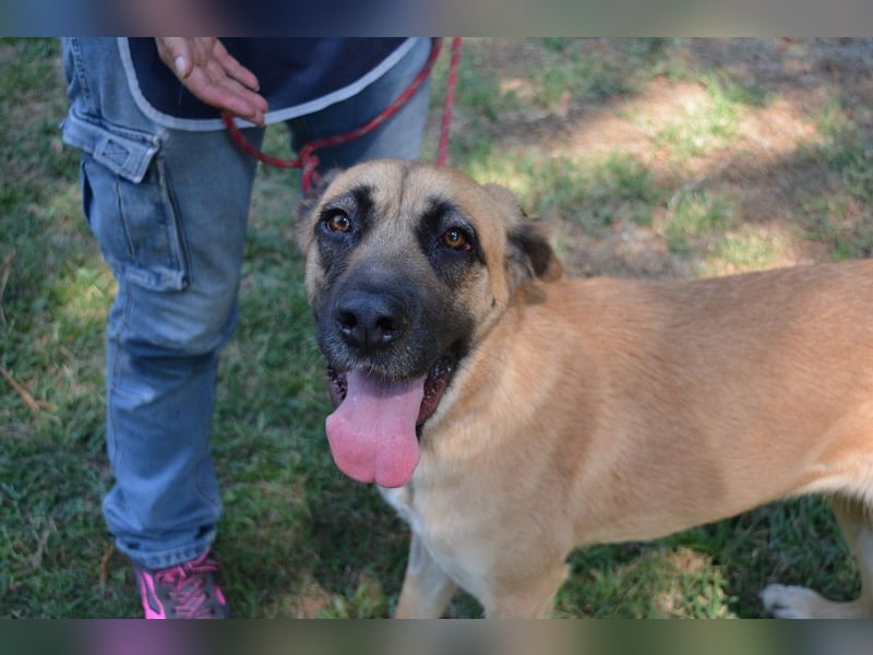 Adhara - Möchte ihre Energie versprühen