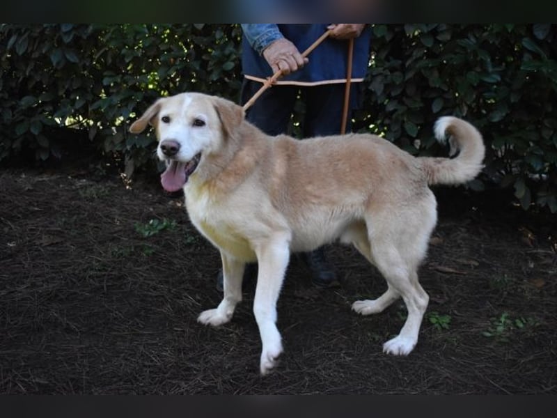 Islay - Menschenherzen-im-Sturm-Eroberer