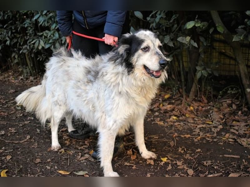 Daiana - der Beginn einer wunderbaren Freundschaft