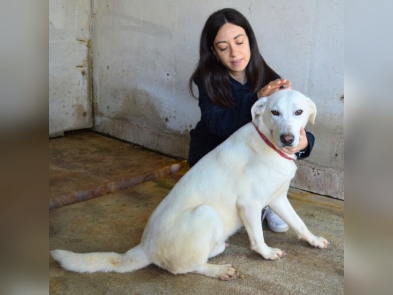 Armindo - Warteschleife, bitte nicht auflegen!