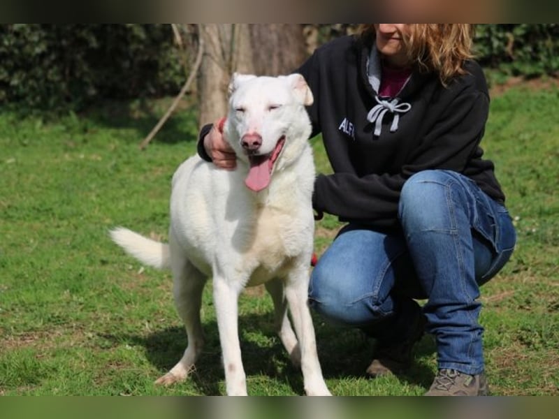 Sean - das Piepsen hinter den Gittern