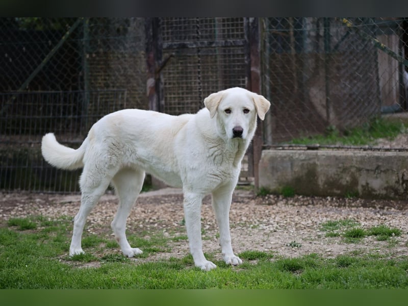 Clara - geht ihren Weg weiter