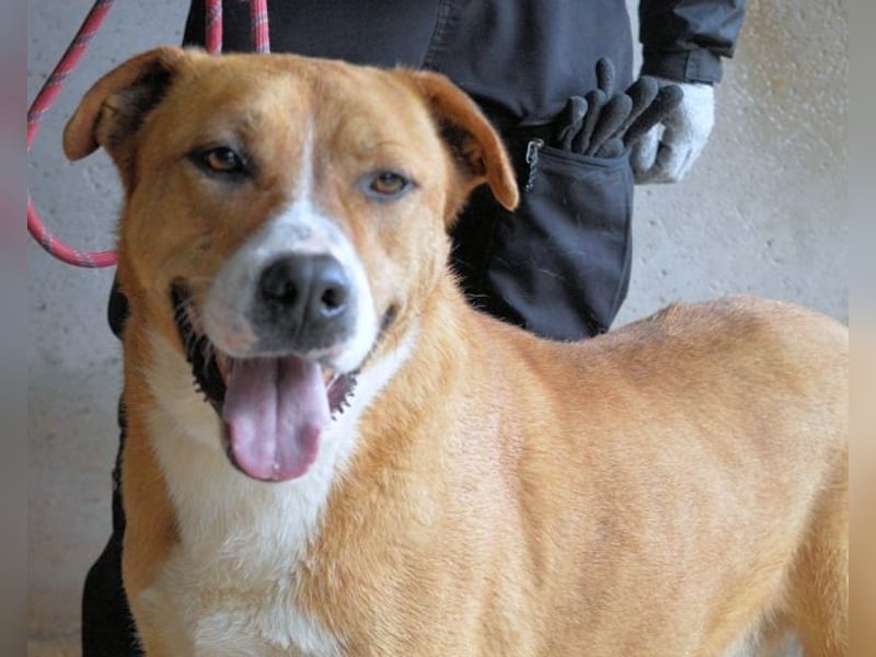 Spielberg - Der Dreh seines Lebens Spielberg - Der Dreh seines Lebens