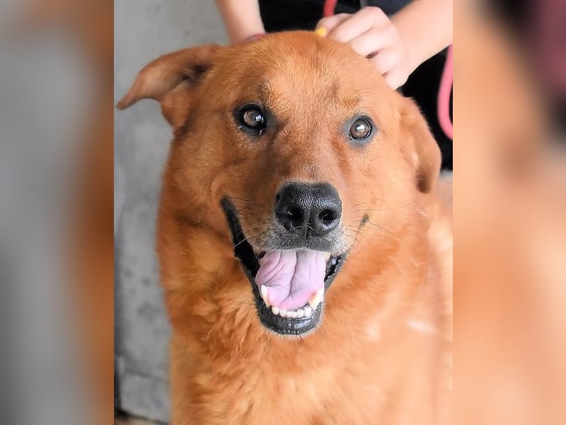 Antwin - irgendwo ist alles schön!