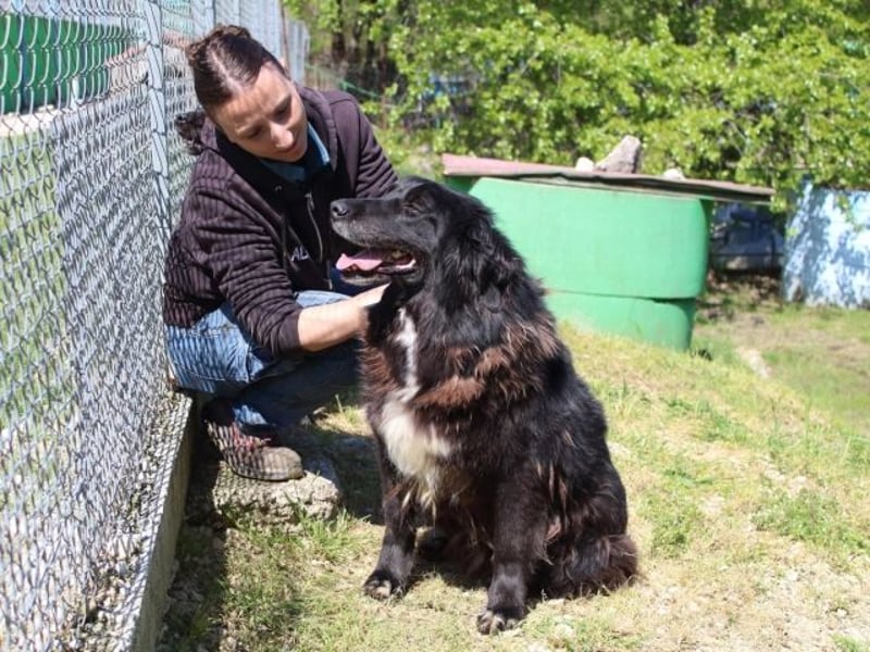 Quennel - Black velvet, oder...