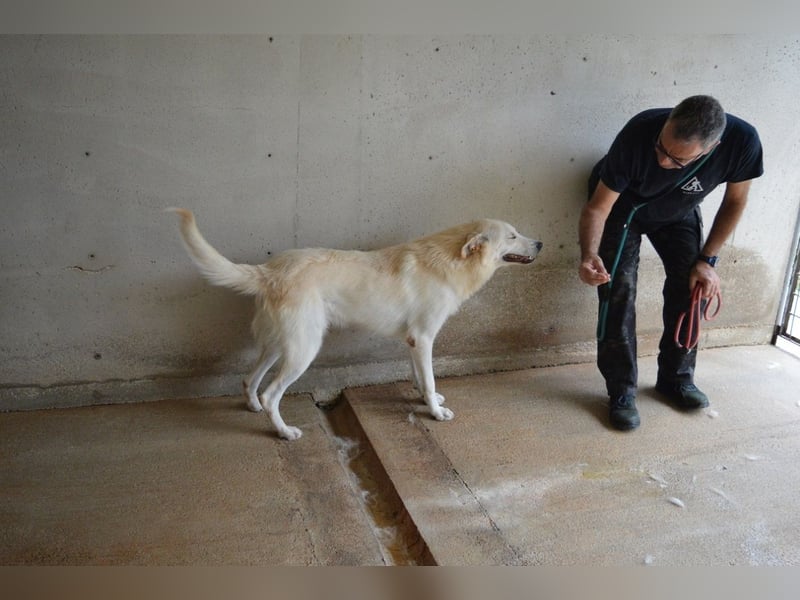 Rurik - Das geheime Feuerwerk